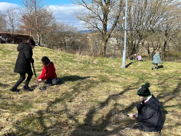 Clyde Climate Forest tree planting Whinhill Primary